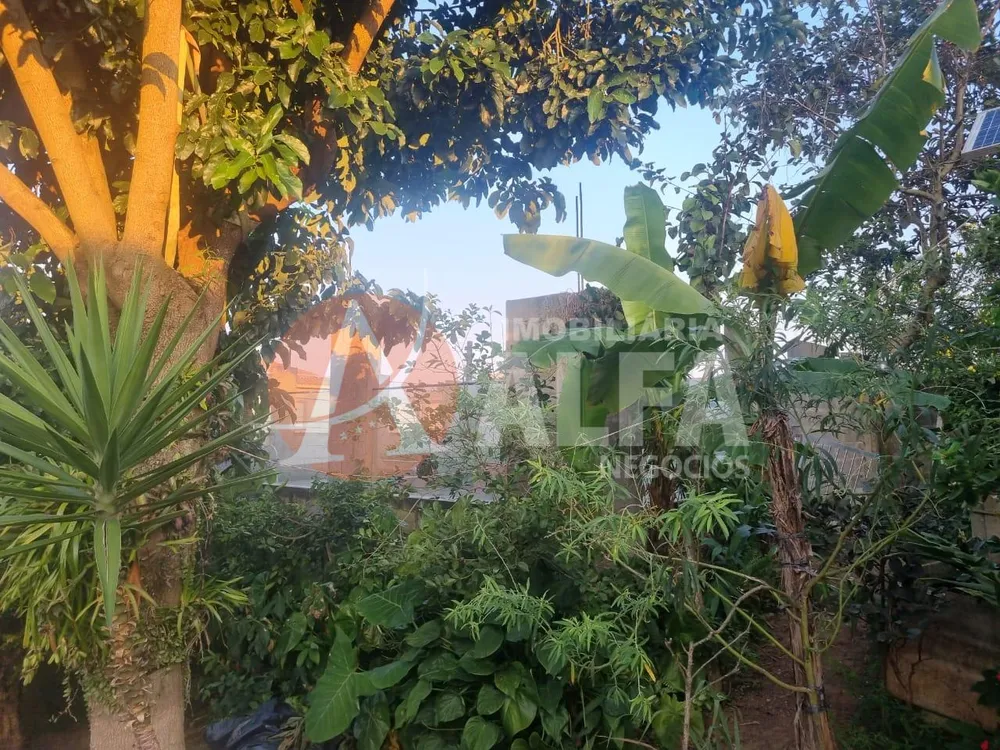 Casa, 3 quartos, 640 m² - Foto 3