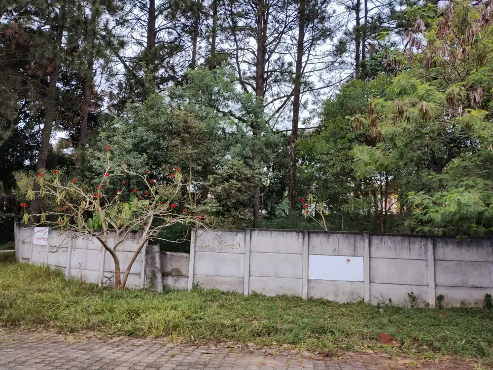 Terreno, 586 m² - Foto 3