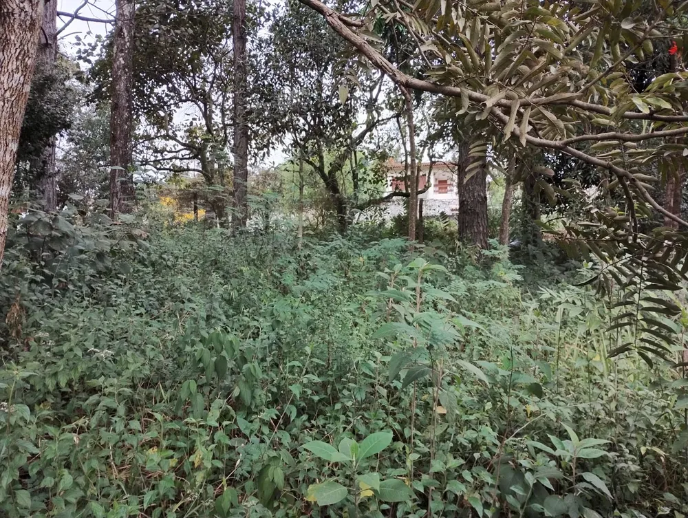 Terreno, 586 m² - Foto 1