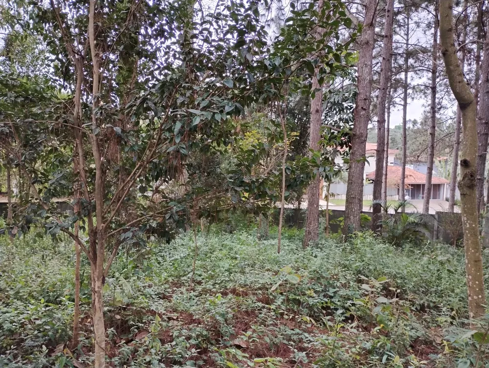 Terreno, 586 m² - Foto 2