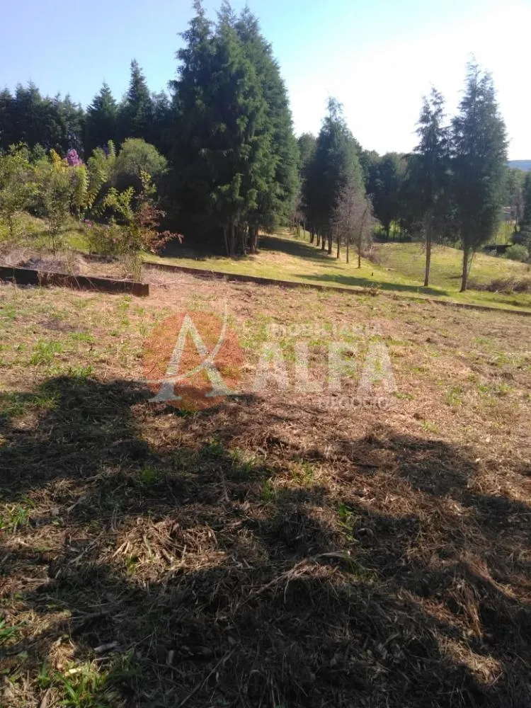 Terreno, 1800 m² - Foto 1