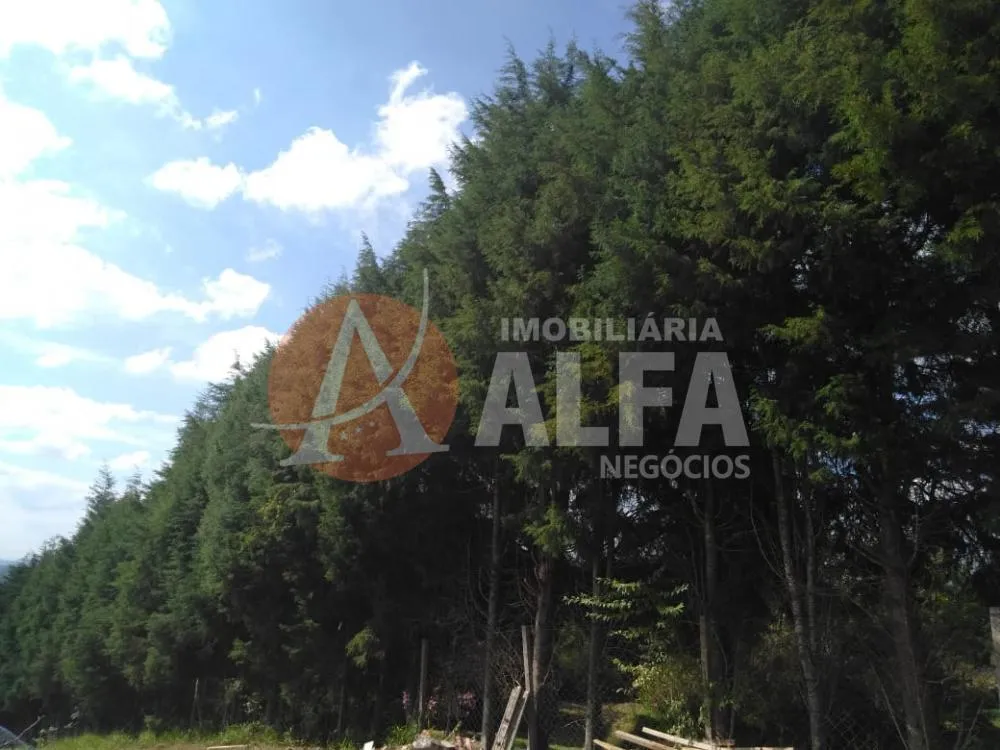 Terreno, 1800 m² - Foto 3