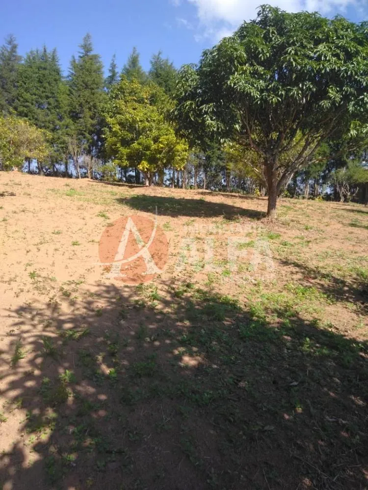 Terreno, 1800 m² - Foto 2