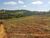 Terreno - Foto 4