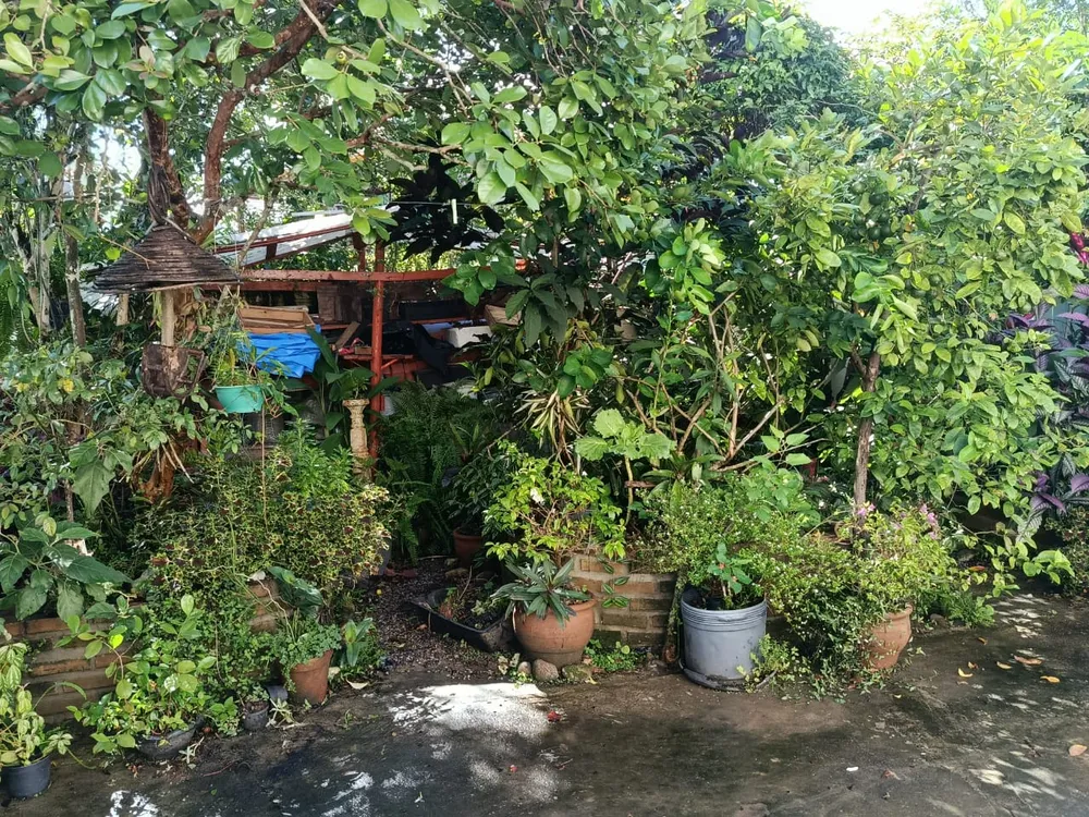 Casa - Foto 1