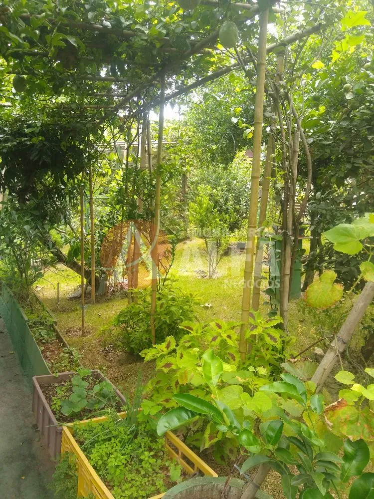 Casa, 3 quartos, 400 m² - Foto 4