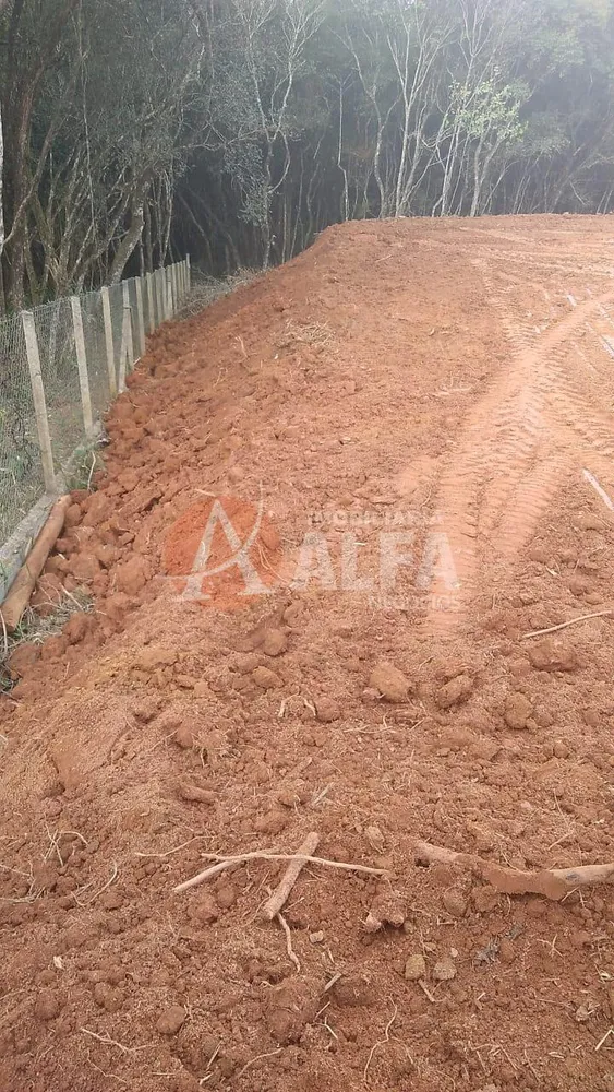 Terreno, 2500 m² - Foto 3