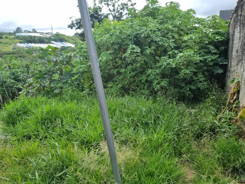 Terreno, 294 m² - Foto 1