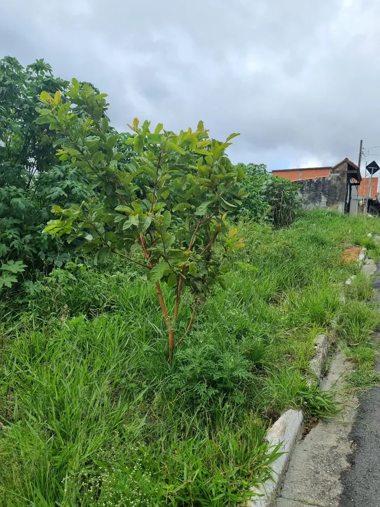Terreno, 294 m² - Foto 2