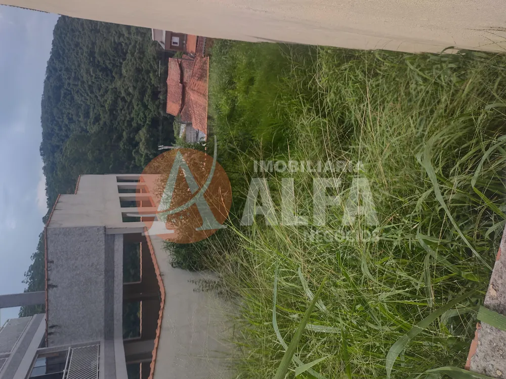 Terreno, 250 m² - Foto 3