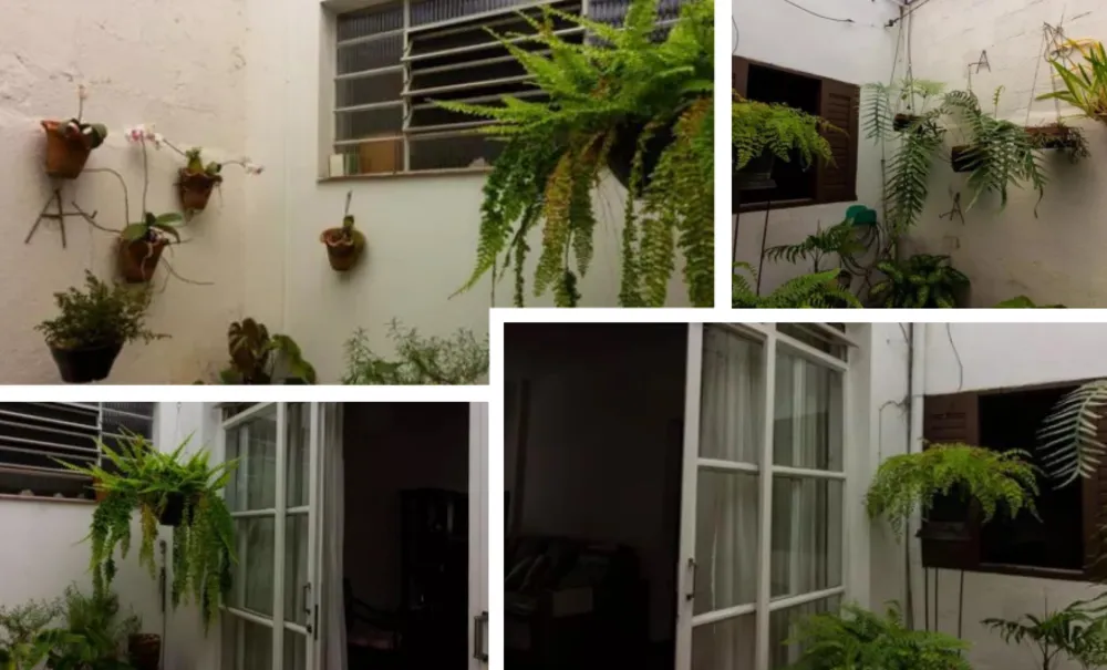 Casa, 6 quartos, 400 m² - Foto 7