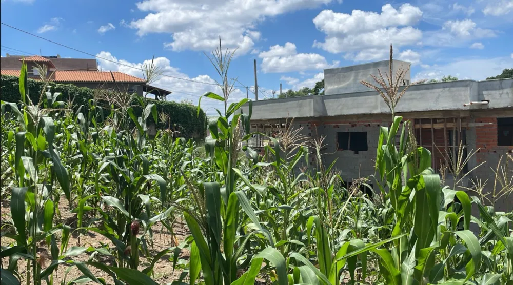 Terreno, 876 m² - Foto 4