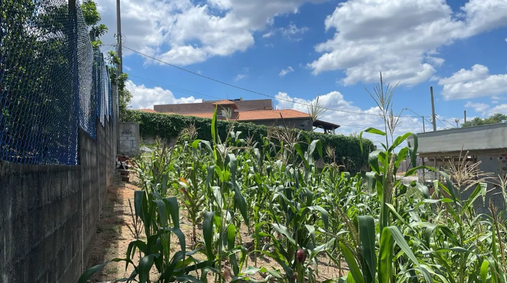 Terreno, 876 m² - Foto 5