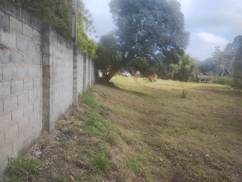 Terreno, 2450 m² - Foto 3