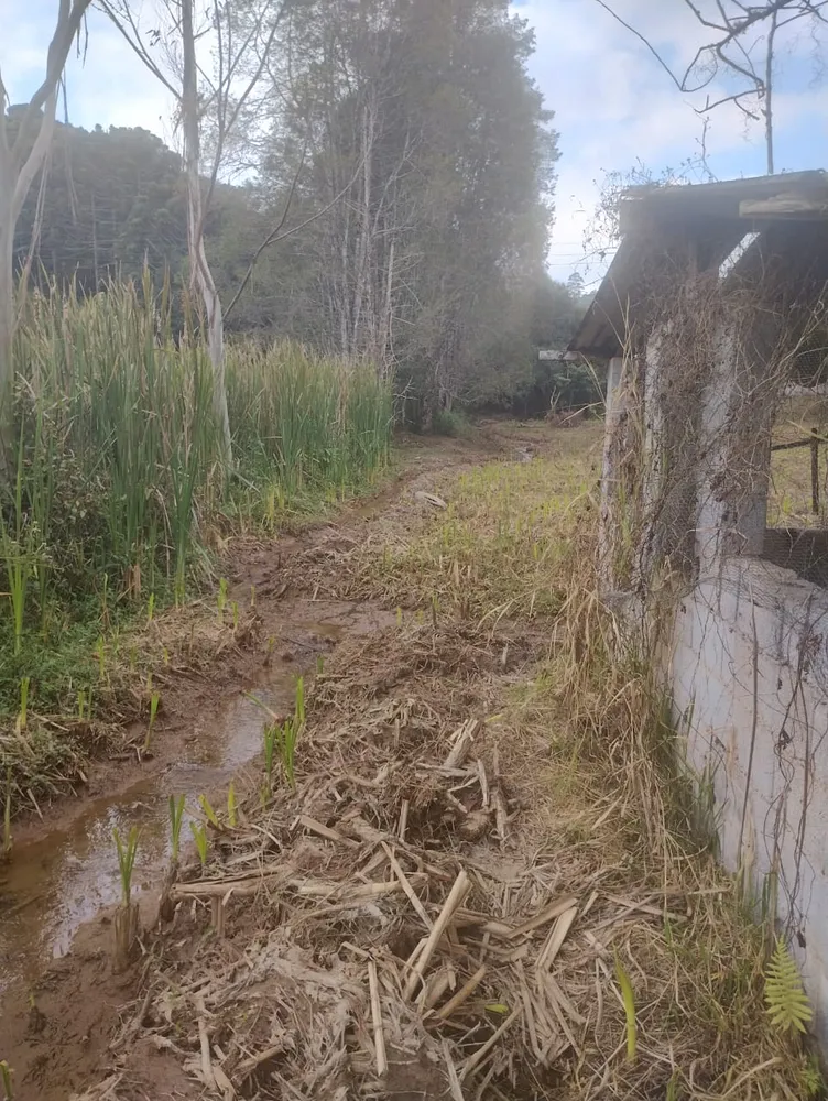 Terreno, 2450 m² - Foto 6