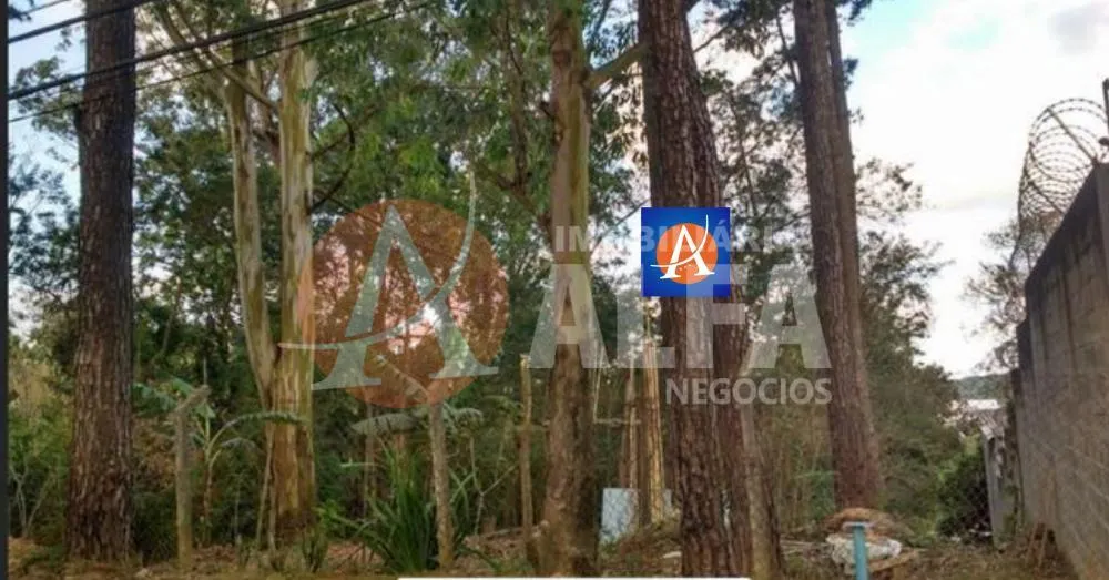 Terreno, 650 m² - Foto 1