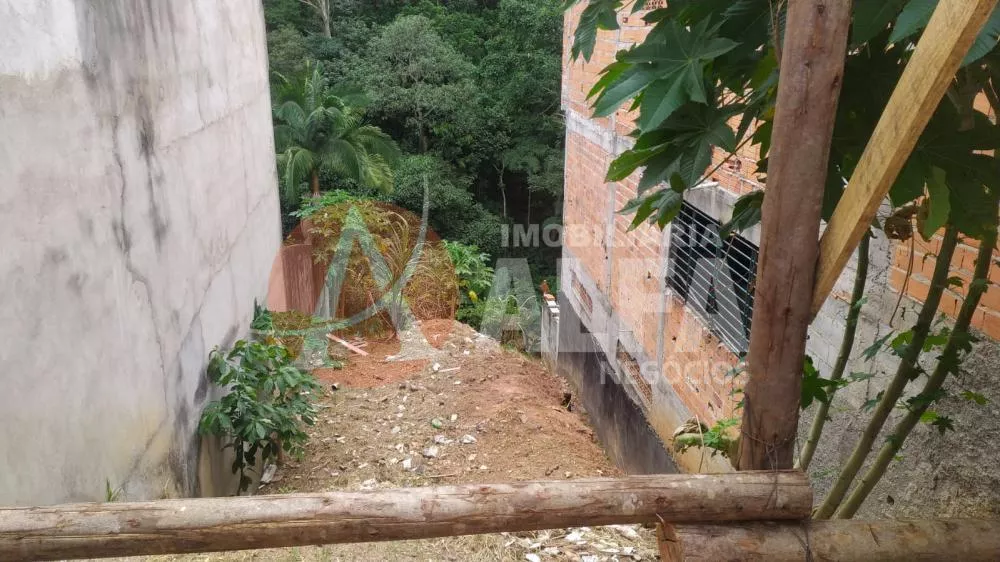 Terreno à venda com 1 quarto, 290m² - Foto 2