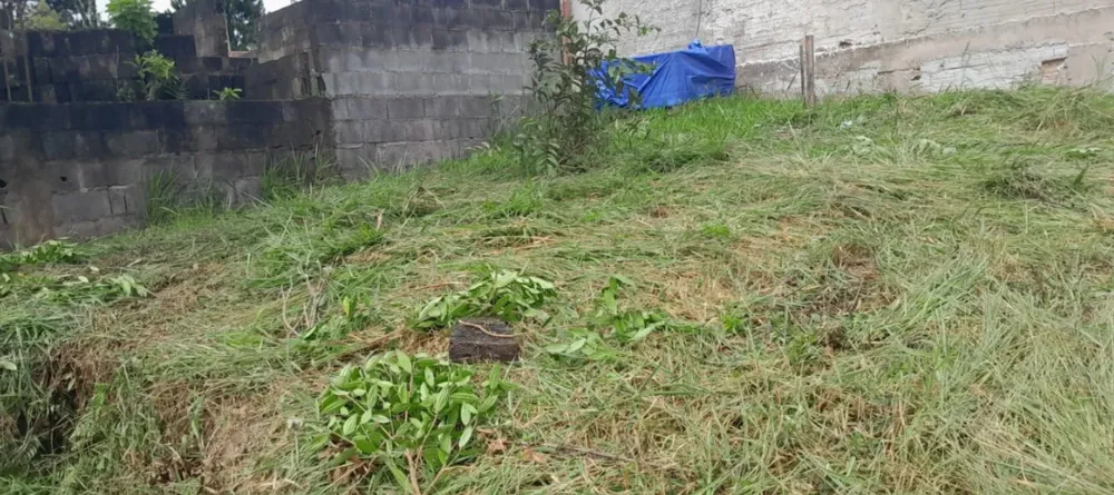 Terreno, 200 m² - Foto 1