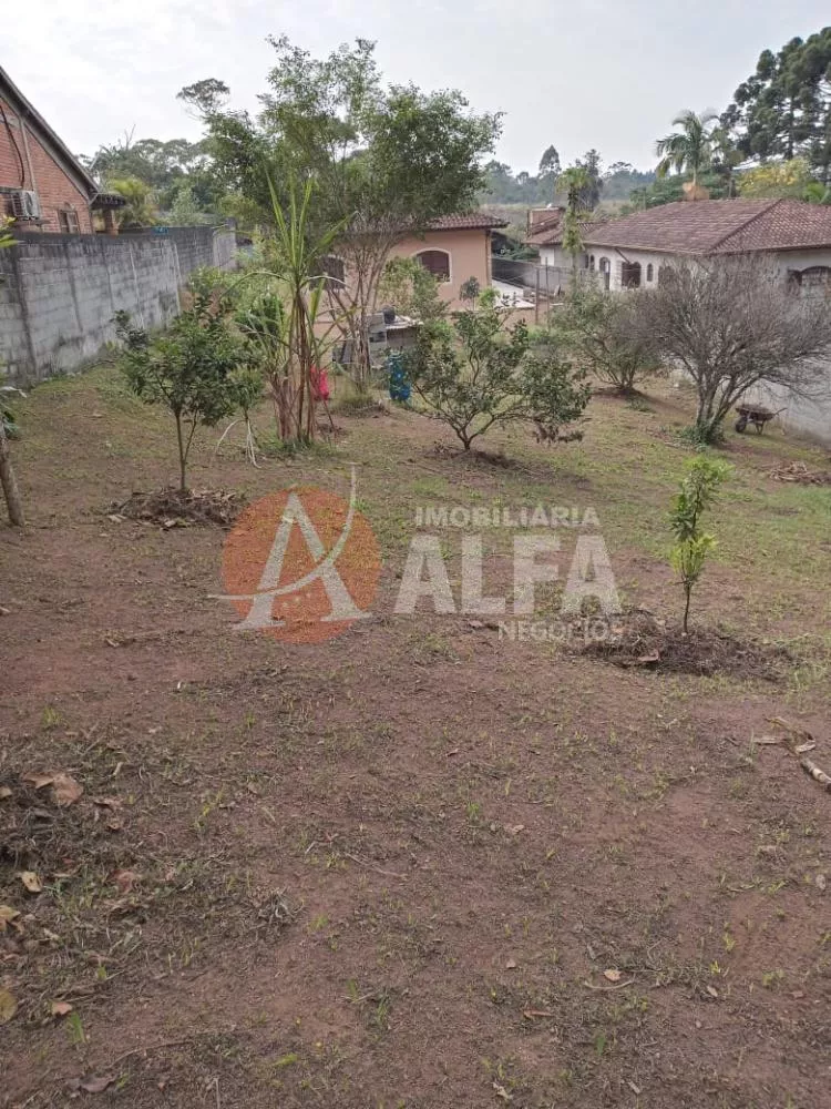 Fazenda à venda com 3 quartos, 1200m² - Foto 2