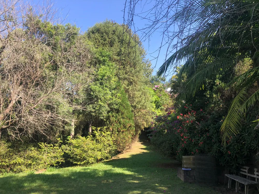 Casa, 3 quartos, 200 m² - Foto 4