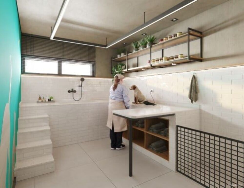 Apartamento, 3 quartos, 64 m² - Foto 7