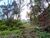 Terreno, 3213 m² - Foto 2