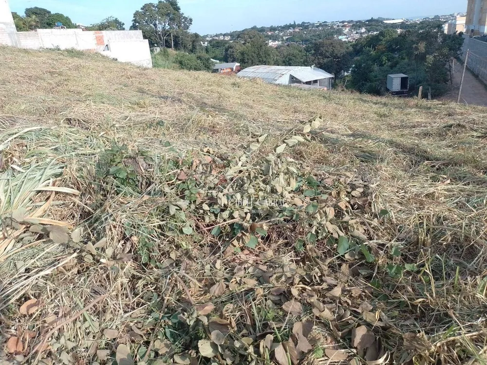 Terreno, 500 m² - Foto 3