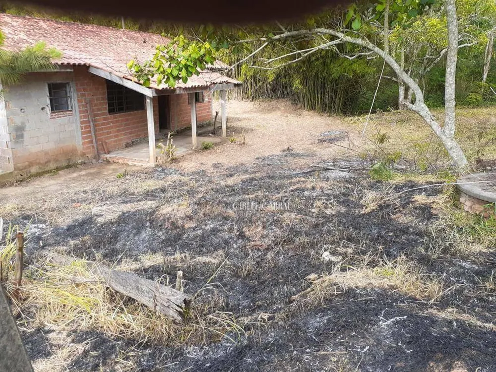 Sítio, 18 hectares - Foto 4