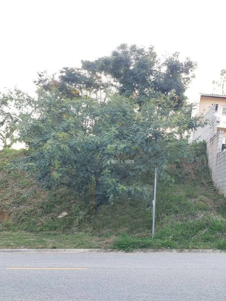 Terreno, 250 m² - Foto 3