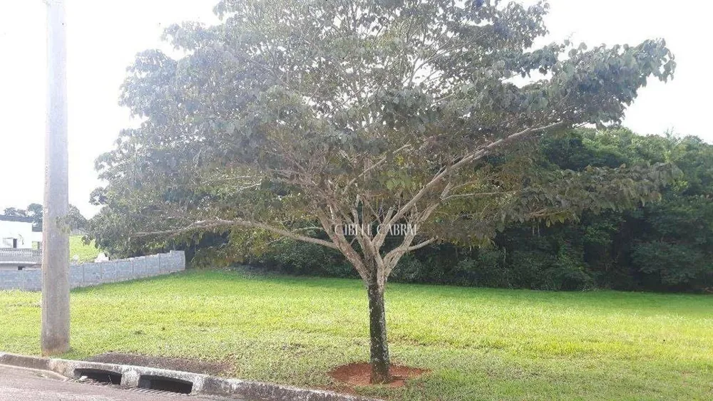 Loteamento e Condomínio, 1000 m² - Foto 2