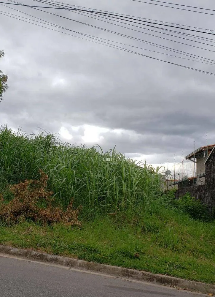 Terreno, 250 m² - Foto 2