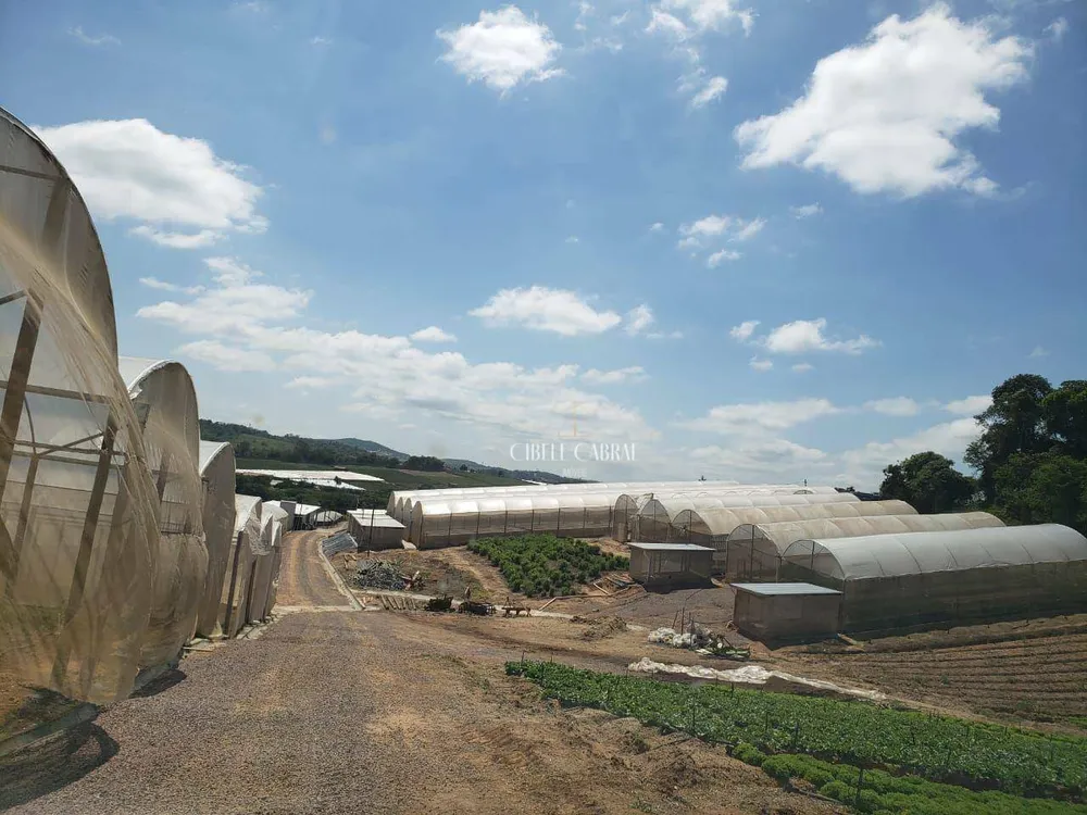 Terreno, 8 hectares - Foto 4