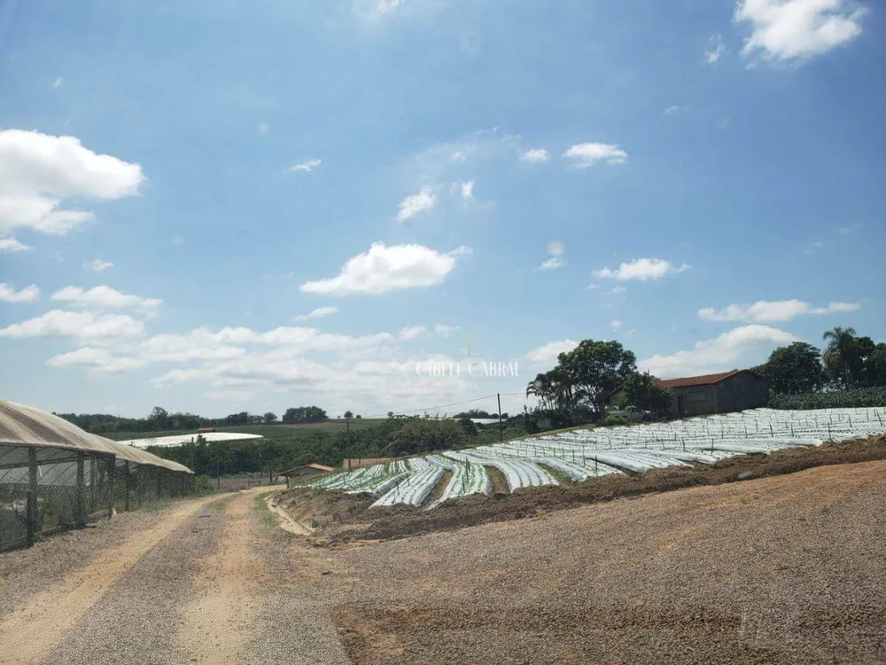 Terreno, 8 hectares - Foto 1