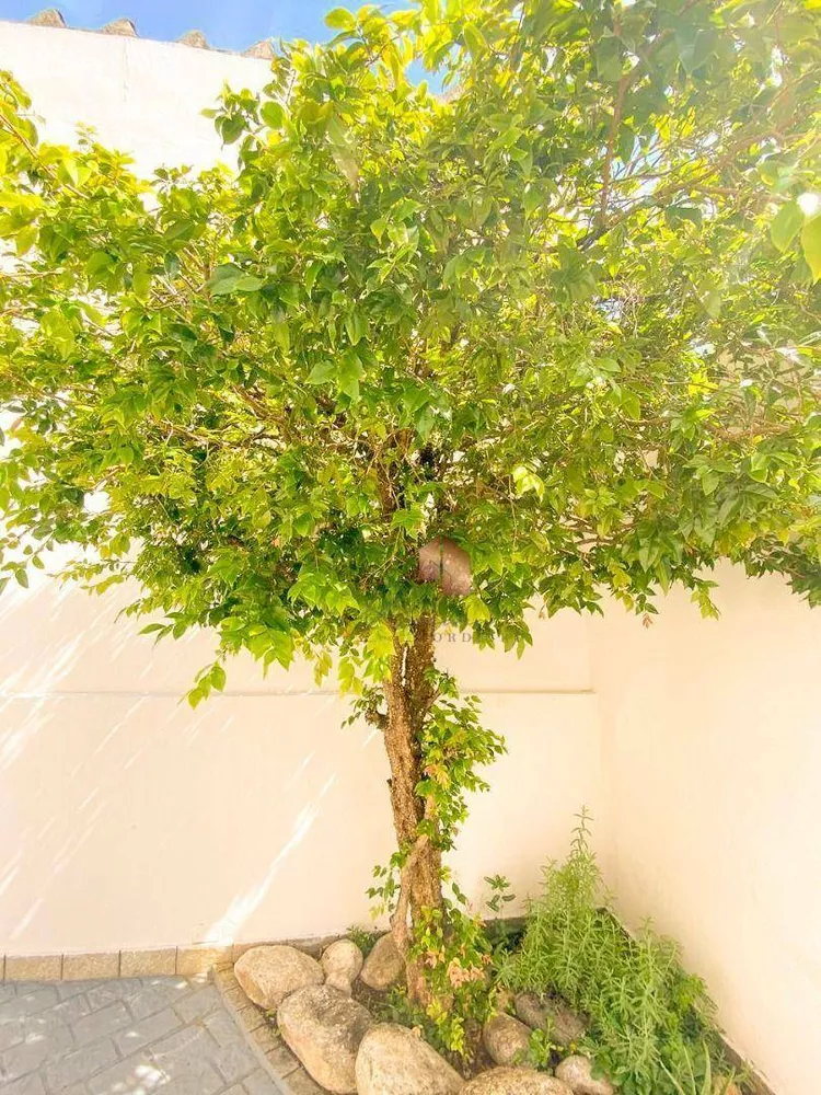 Casa, 3 quartos, 140 m² - Foto 18