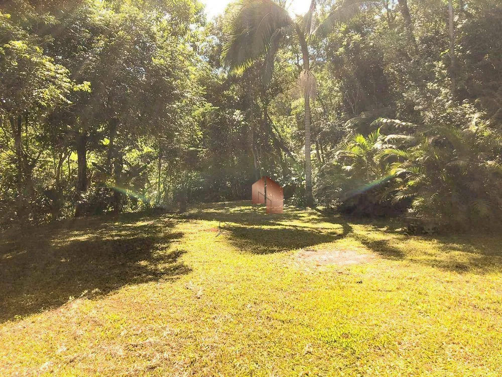 Chácara, 5 quartos, 4 hectares - Foto 4