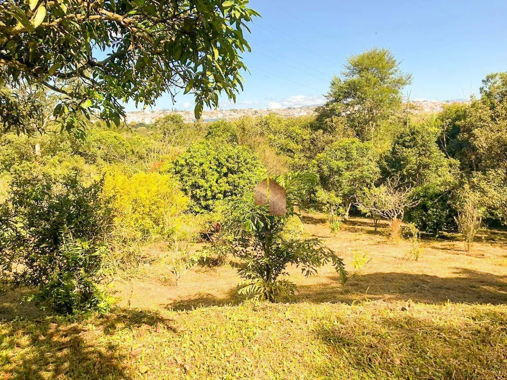Chácara, 5 quartos, 4 hectares - Foto 3