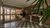 Apartamento, 3 quartos, 172 m² - Foto 12