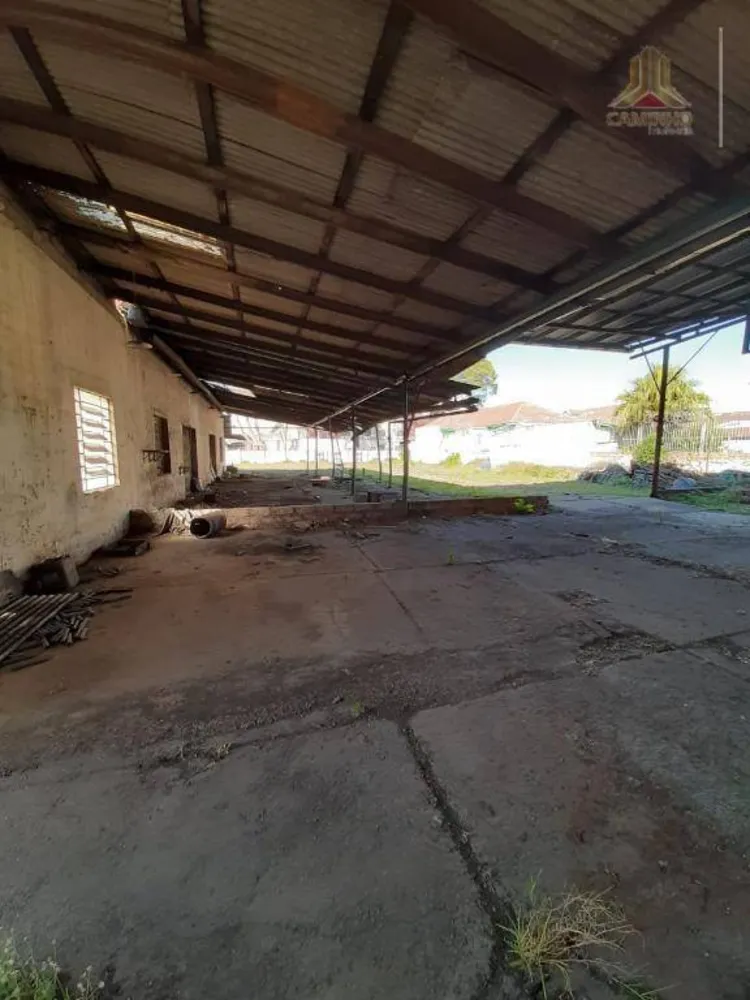 Terreno, 2600 m² - Foto 3