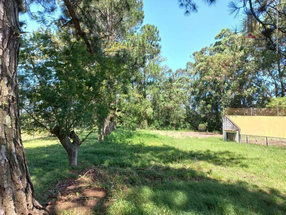 Terreno, 9 hectares - Foto 6
