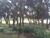 Loteamento e Condomínio, 725 m² - Foto 1