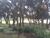 Loteamento e Condomínio, 590 m² - Foto 1
