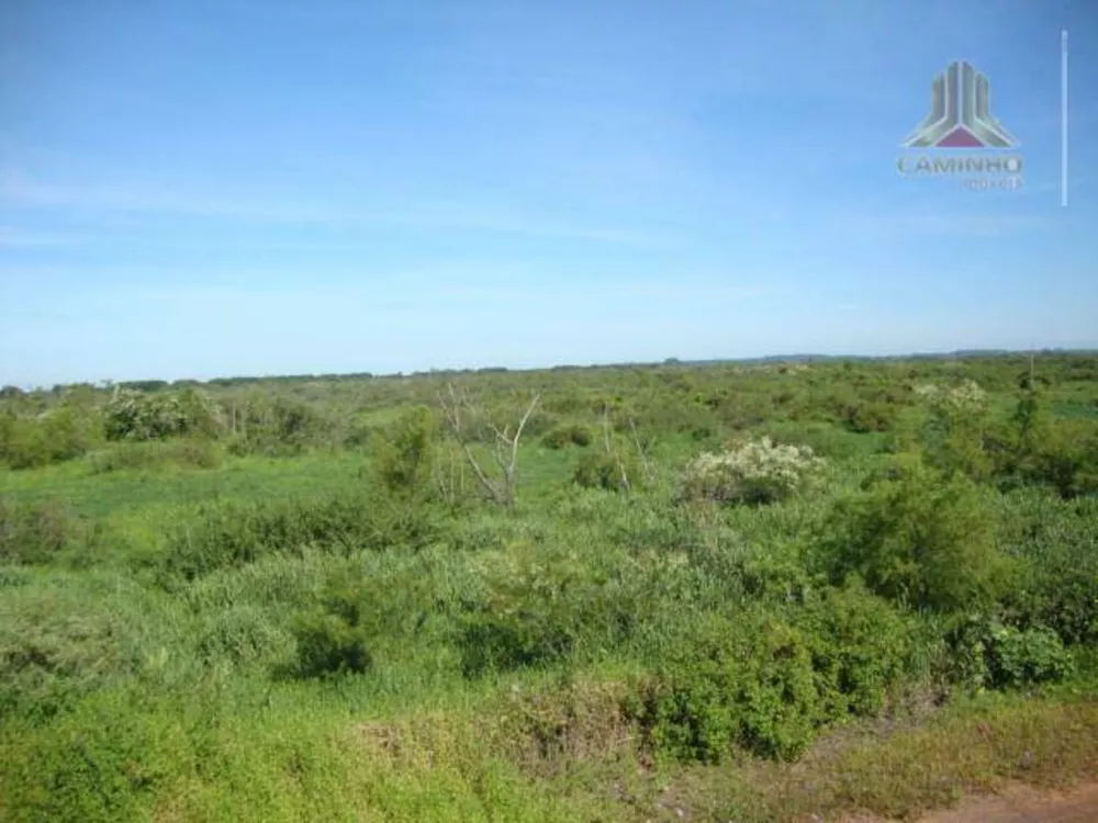 Terreno, 27 hectares - Foto 7