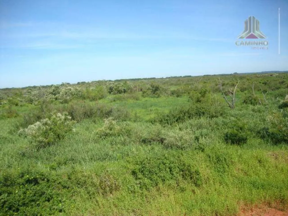 Terreno, 27 hectares - Foto 6