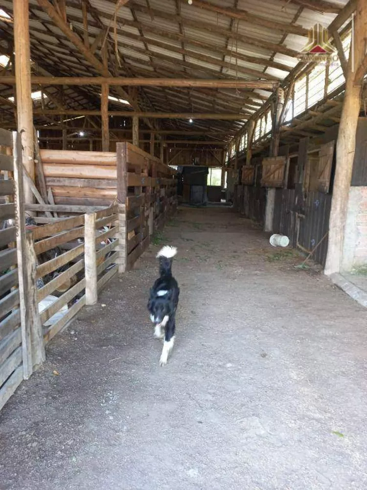 Chácara, 6 quartos, 60 hectares - Foto 17