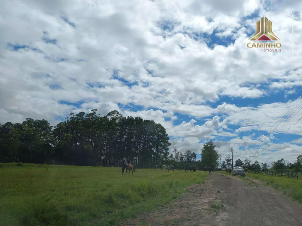 Chácara, 6 quartos, 60 hectares - Foto 22