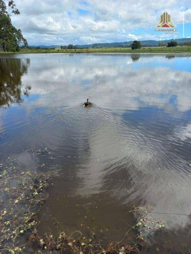 Chácara, 6 quartos, 60 hectares - Foto 1