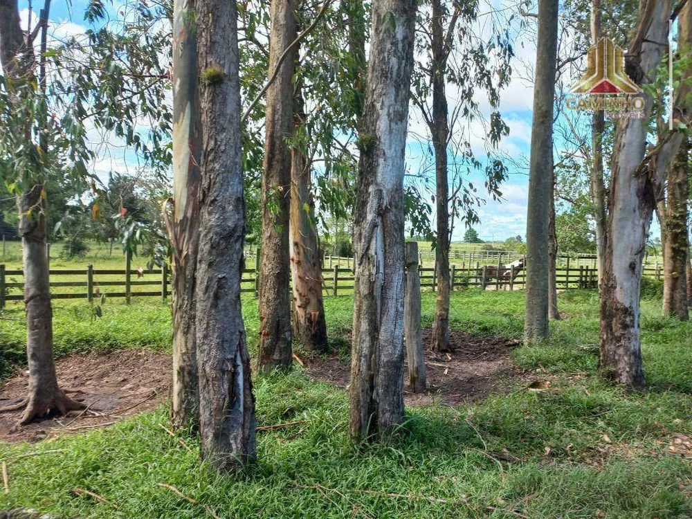 Chácara, 6 quartos, 60 hectares - Foto 9