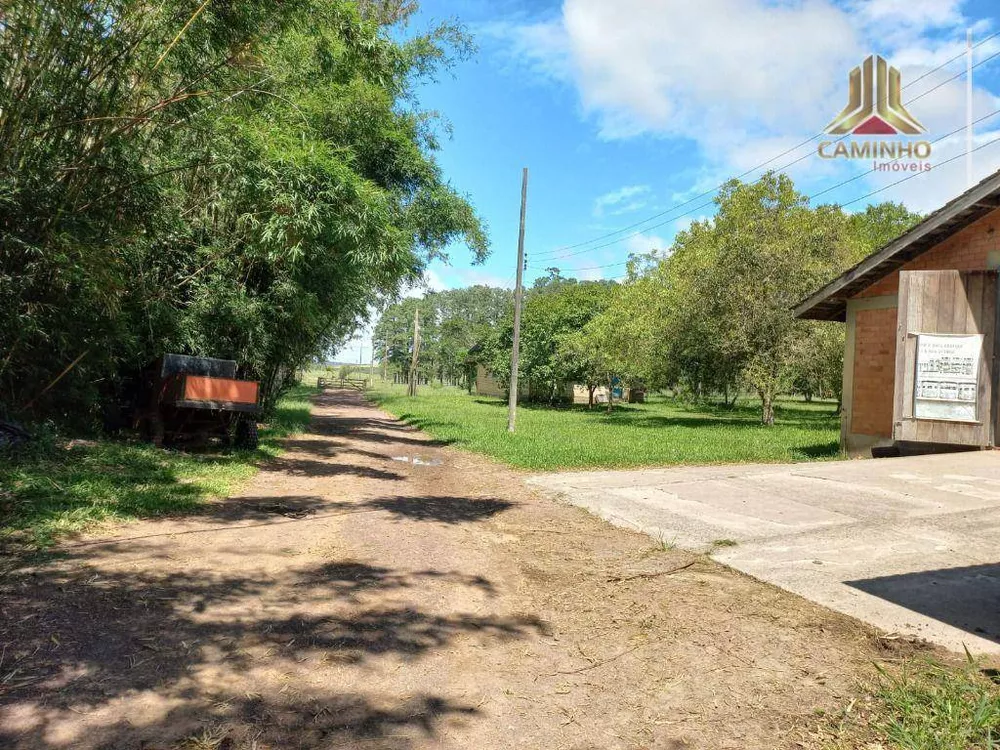 Chácara, 6 quartos, 60 hectares - Foto 13