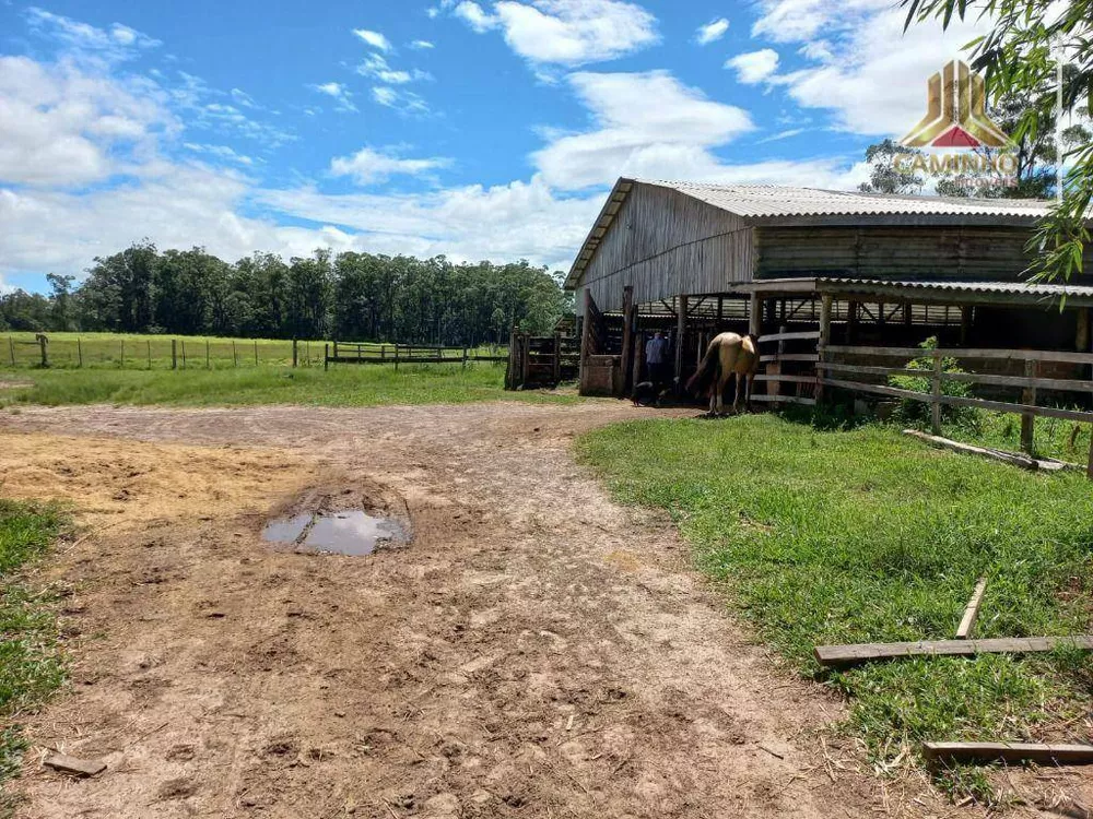 Chácara, 6 quartos, 60 hectares - Foto 15