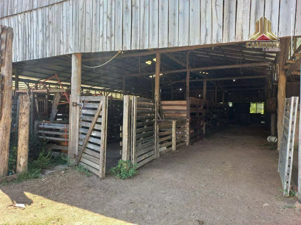 Chácara, 6 quartos, 60 hectares - Foto 12